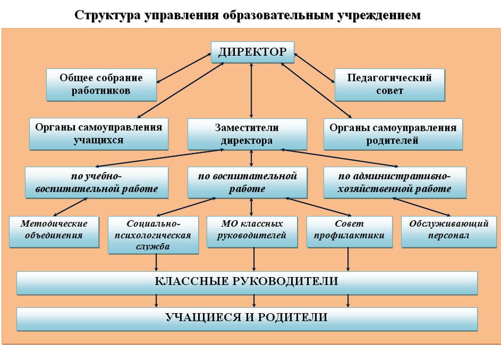 Структура управления ОО